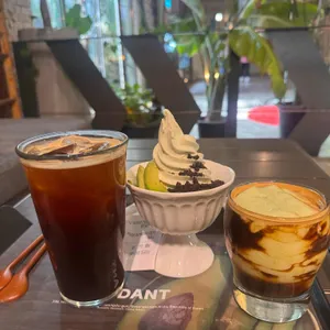 버던트 리뷰 사진