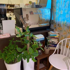 유가양과점 리뷰 사진