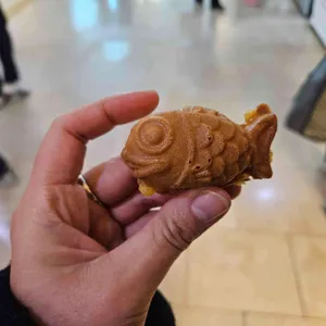 통통호두 대표 사진