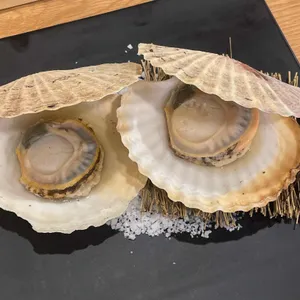 서서자는물고기 리뷰 사진