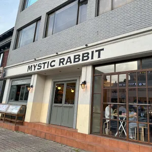 미스틱래빗 사진 1