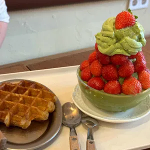 미스틱래빗 사진