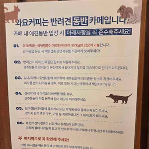 와요커피 리뷰 사진