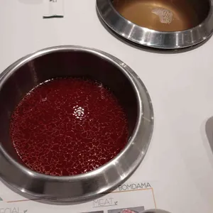 봄담아 리뷰 사진