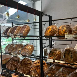 홀브라운 사진 1