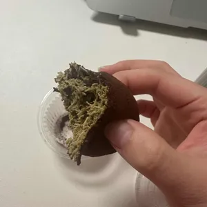 가베95도씨카페 리뷰 사진