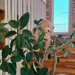 코지앤레이지 대표 사진