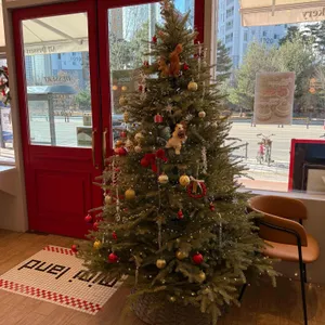 미니랜드 리뷰 사진