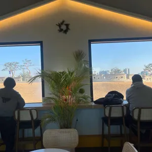 달리당 리뷰 사진