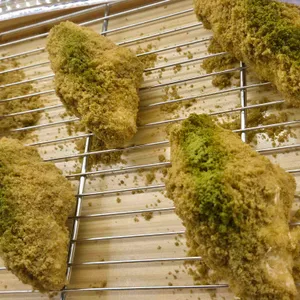 타이루 리뷰 사진