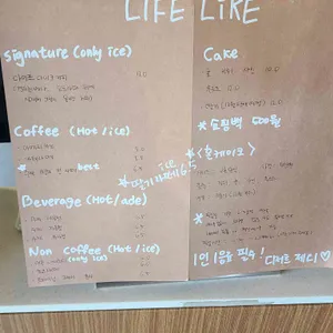 라이프라이크 리뷰 사진