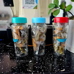 그랑블루 리뷰 사진