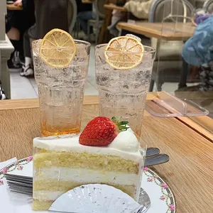 옵스 리뷰 사진