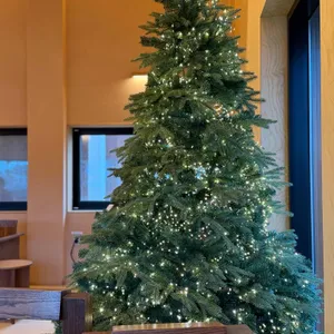 카페 놀 리뷰 사진