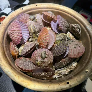 바다언니야 사진