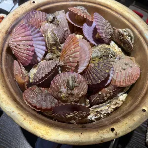 바다언니야 대표 사진