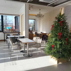 그래비티 리뷰 사진