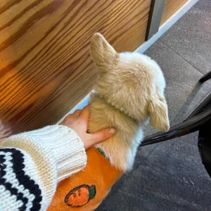 해뜨는집 리뷰 사진