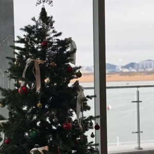 명지 해솥 리뷰 사진