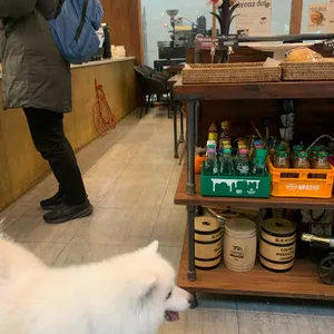 브론즈 닷 리뷰 사진