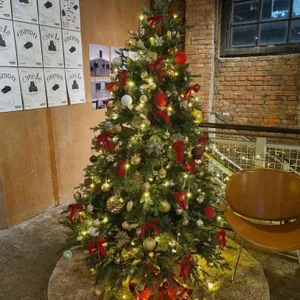 노티스 리뷰 사진