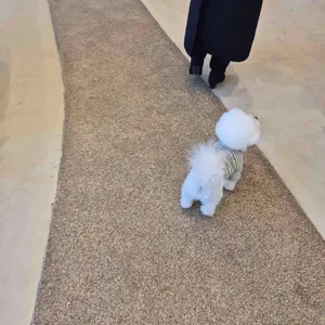 푸르댕댕 리뷰 사진