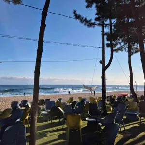 바다정원 리뷰 사진