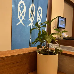 육회로운연어로만 리뷰 사진