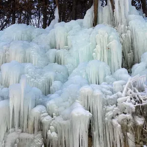 달리온 리뷰 사진