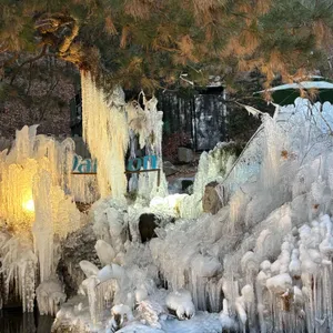 달리온 리뷰 사진