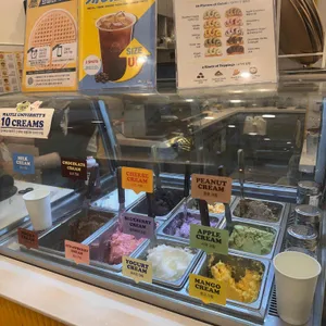 와플대학 리뷰 사진