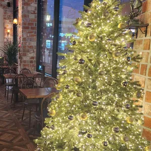 호맥 리뷰 사진