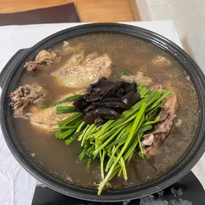 닭향 대표 사진