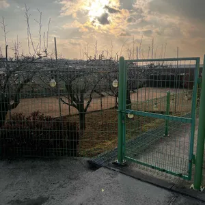 닭향 리뷰 사진