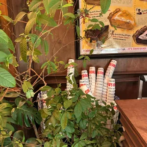 따우전드 리뷰 사진