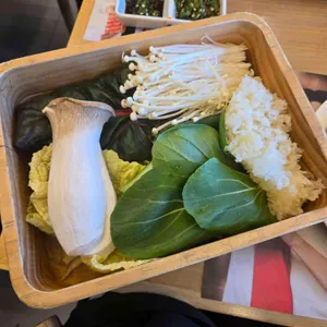 샤브올데이 사진