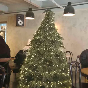 쿨키즈네버다이 리뷰 사진