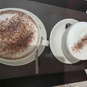 숲속의 밤 대표 사진