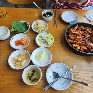 조가네갑오징어 사진