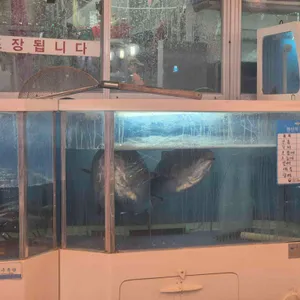 옛날마차 리뷰 사진