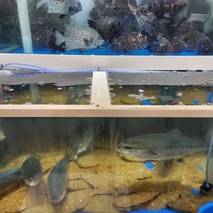 청양수산 리뷰 사진