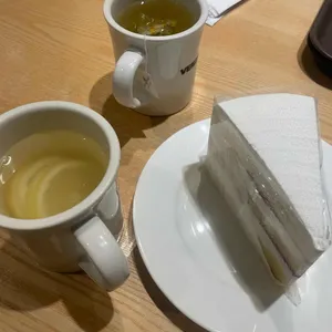 벤자마스 리뷰 사진