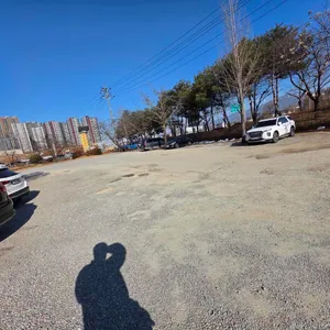 학곡리막국수닭갈비 리뷰 사진