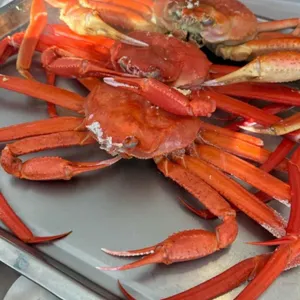 게네집 리뷰 사진