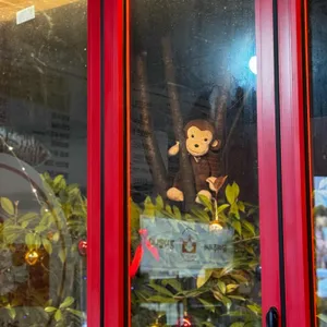 케이닥 리뷰 사진