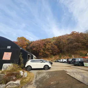 카페 수목 리뷰 사진