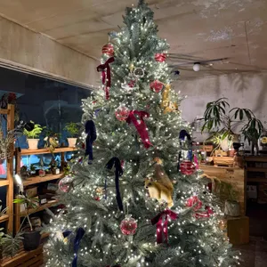 본지르르 리뷰 사진