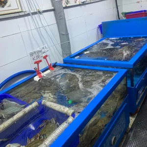 다퍼줘 리뷰 사진