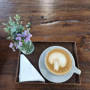 루트플랜트 사진 1