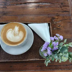 루트플랜트 리뷰 사진